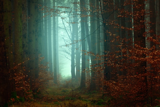 What to do when you feel weak and loss?